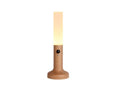 Intelligent Motion Sensor Light